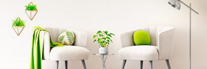 Imani_Group